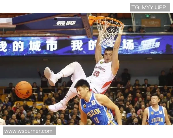 陶汉林：从篮球场上的拼搏到人生舞台的精彩转身