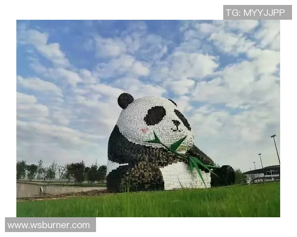 成都羽毛球队在杯赛中的比赛经验与表现分析与点评